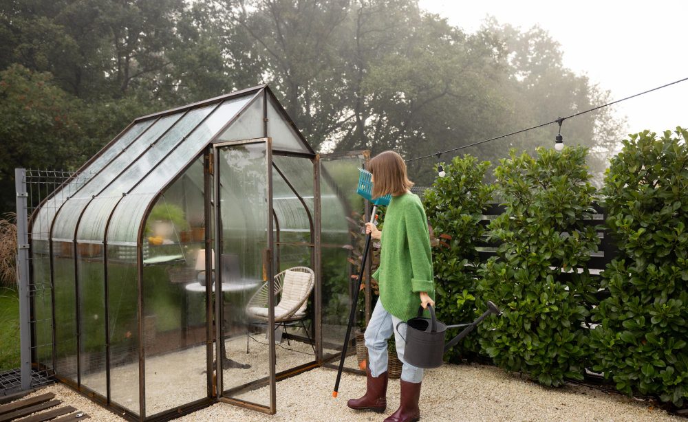 construire une serre de jardin pas chère