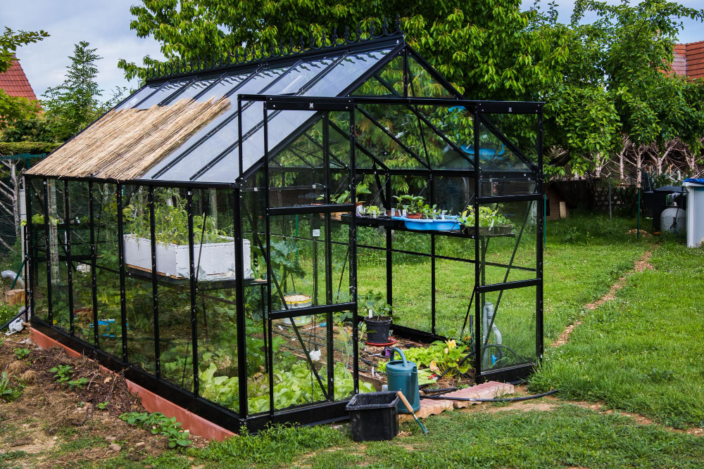 construire une serre de jardin